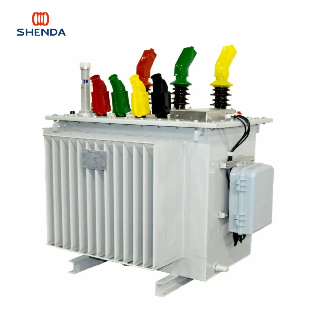 10 Kv Level Full Sealed Distribution Transformer